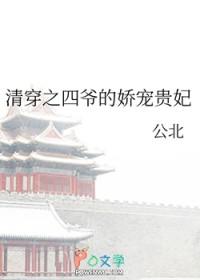 清穿之四爷的娇宠贵妃姜楚楚作者公北