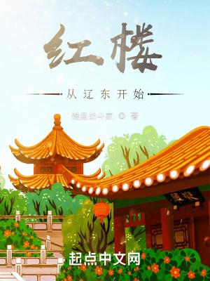 从红楼开始拯救名著