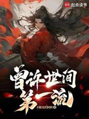 曾许世间第一流TXT百度