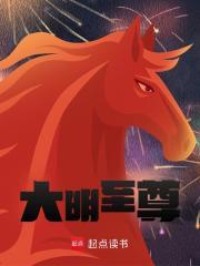 大明至尊帝皇系统