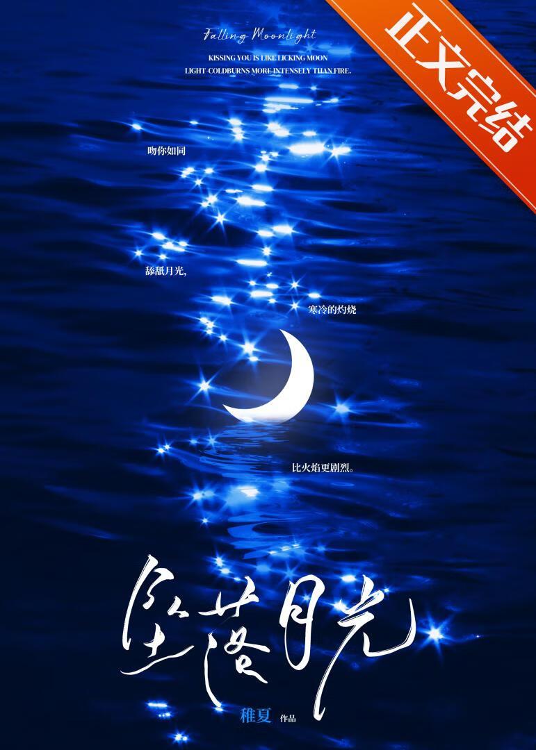 坠落月光稚夏笔趣阁