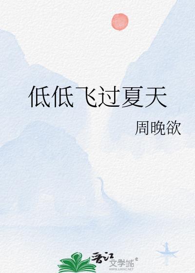 低低飞过夏天TXT