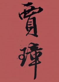 红楼贾璋传无错版全文阅读