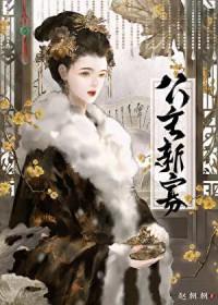 公主新寡讲的什么