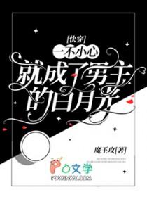 快穿一不小心成了反派