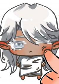 精灵与黑暗精灵ova