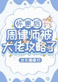 怀崽后周律师被大佬攻略了晋江