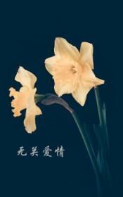 无关爱情的伤感歌曲