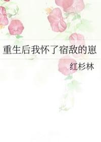重生后我怀了男神的崽[娱乐圈