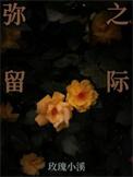 弥留之际什么意思
