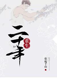二十年是什么婚