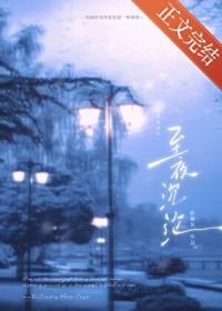 至夜沉沦by影雾灰TXT
