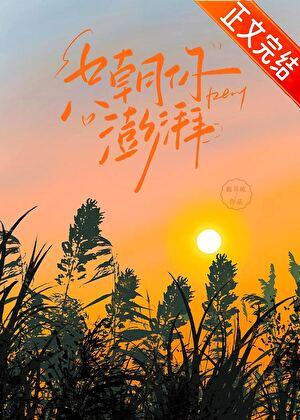 只朝你澎湃[追妻火葬场