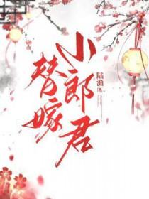 替嫁小郎君by陆渔长佩