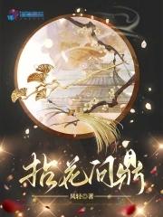 拈花问鼎凤轻书评