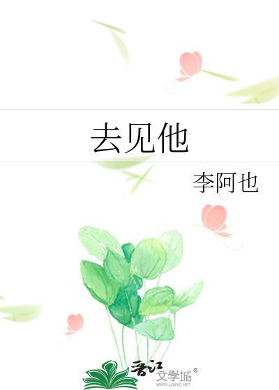 去见他全文TXT 去见他全文TXT
