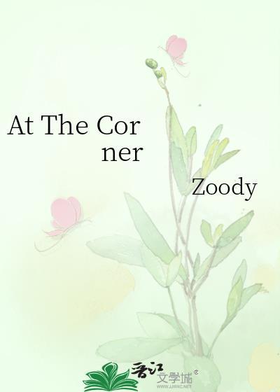 at the corner 和on the corner at the corner 和on the corner