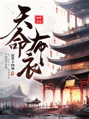 我本布衣下一句