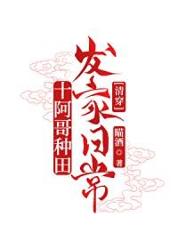 十阿哥身份