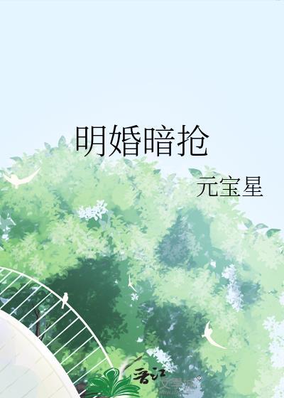 明婚暗抢元星宝TXT百度