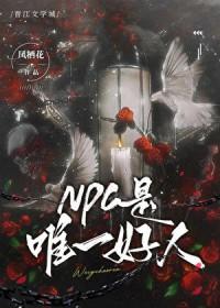 npc是玩家吗