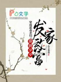 靠拼夕夕发家致富免费阅读无弹窗 靠拼夕夕发家致富免费阅读无弹窗