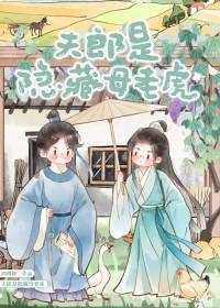 夫郎隐藏母老虎角色介绍