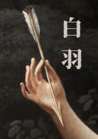 白宇帆
