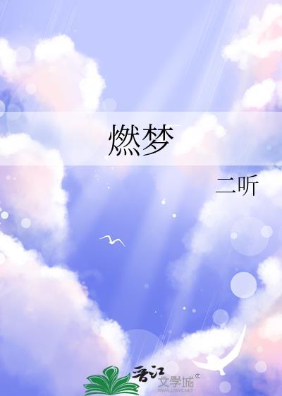 燃梦科技有限公司