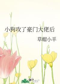 小狗攻了豪门大佬后作者草帽小羊