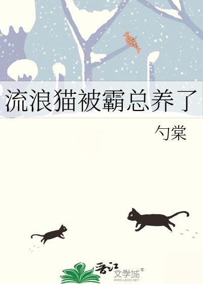 流浪猫被霸总养了免费