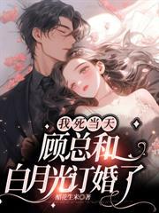 霍总追妻战斗力爆棚