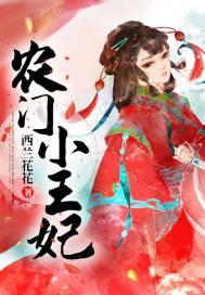 农门小王妃讲什么