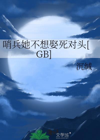 哨兵不乖结局