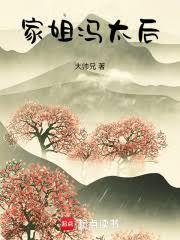 家姐冯太后免费阅读