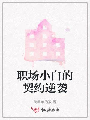 职场小白的书