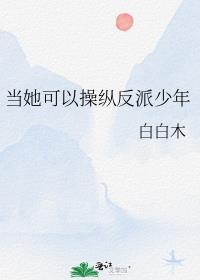 当她可以操纵反派少年百度