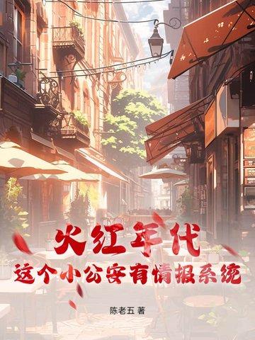 这个小公安有情报系统等级