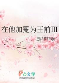 在他加冕为王前3全文免费阅读
