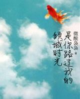 是你路过我的倾城时光是什么歌