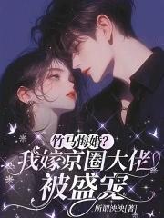 他扯掉我的盖头