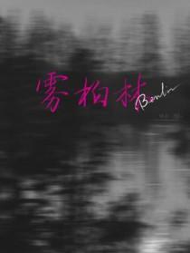 柏林的雾任宇轩