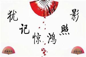 犹记惊鸿照影书包