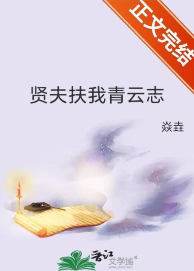 贤夫扶我青云志txt