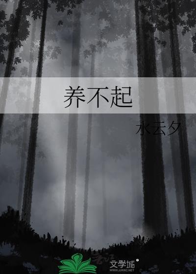 二手途锐买得起养不起