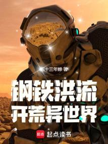 钢铁洪流几级