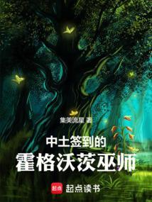 中土签到的霍格沃茨巫师免费阅读