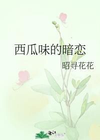 西瓜味的你
