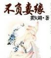 不负妻缘讲的什么
