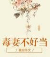 毒妻不好当txt